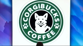 Logo থেকে 3D-তে কনভার্ট করুন