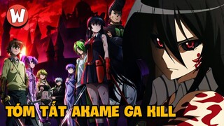 Chuyện Gì Đã Xảy Ra trong Akame Ga Kill bản Manga