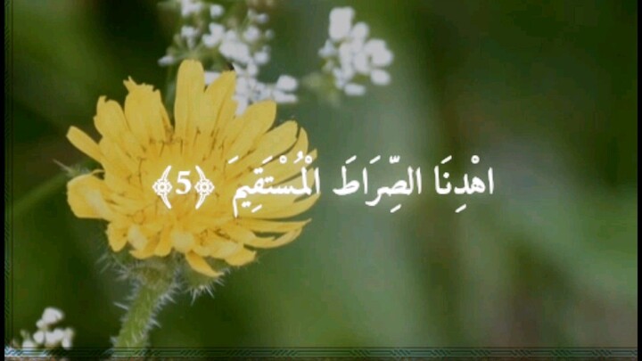 Surah Al Rahman/Surah Al Aklas/Surah Al Fatiha/Surah Al Nas/Surah Al