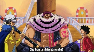 Katakuri, Law thuyết phục Luffy GIA NHẬP băng Mũ Rơm - One Piece