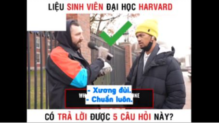 Sinh viên Harvard có trả lời được 5 câu hỏi này part 4 #giaitri
