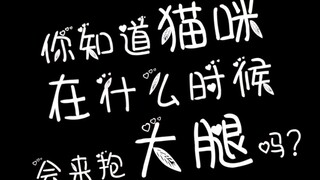 Tahukah kamu kapan kucing akan kembali dan memeluk pahamu?