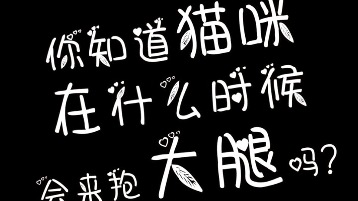 你知道猫咪在什么时候回来抱你的大腿吗？