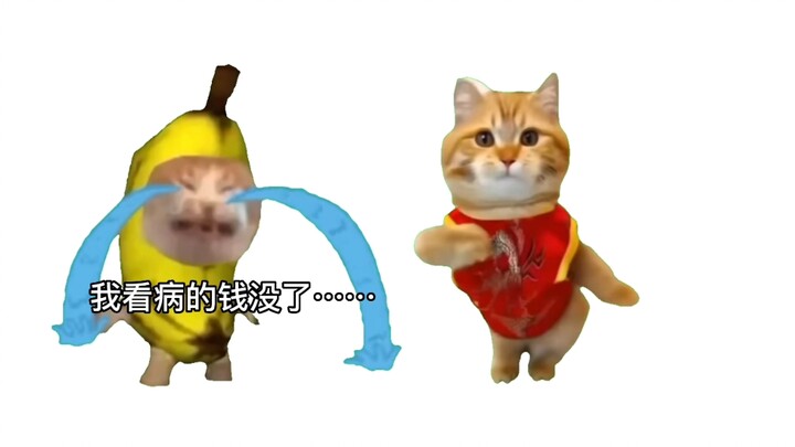 【猫meme】好不容易省下的看病钱被妈妈拿去“买菜了”