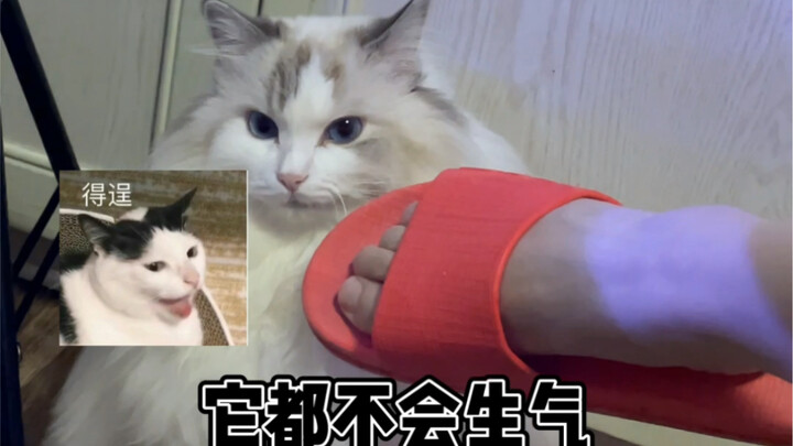 นิสัยของบุตโตะก็ดีไม่เลวเลย ฮิฮิ