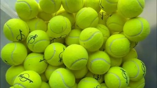 Surprise my 5 Golden Retrievers with 300 tennis balls