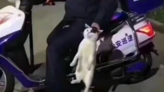 Well, caught red-handed!