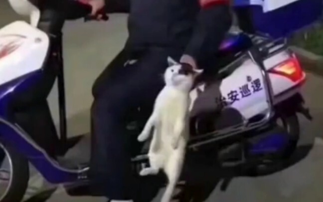 好家伙，当场抓获