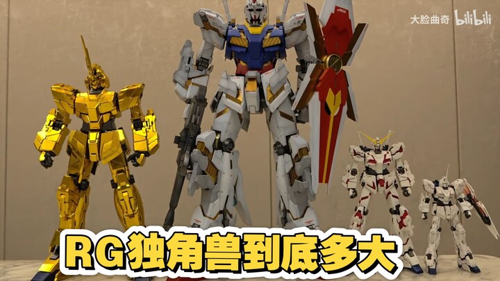 Rg独角兽到底有多大