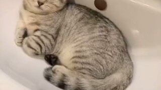ฝนตกบางส่วน