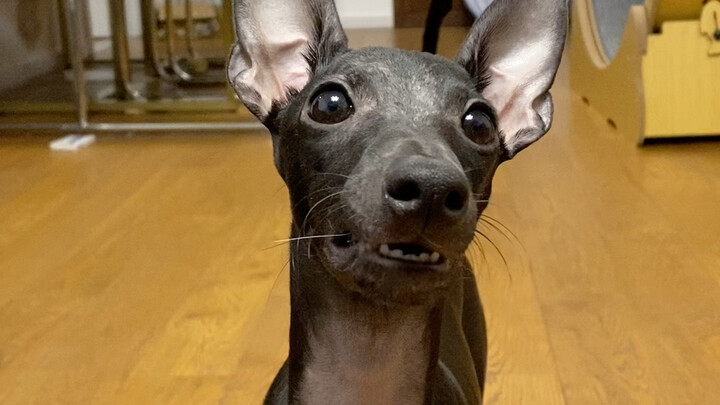 He was just excited!