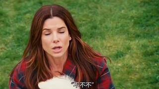 以为是山鸡配凤凰，没想到是野鸡飞上梧桐树