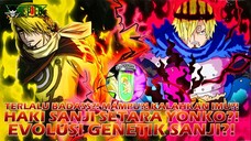 TERLALU BADASS?! INILAH WUJUD EVOLUSI GENETIK SANJI?! SANJI MEMBANGKITKAN HAKI SEKUAT YONKO?!