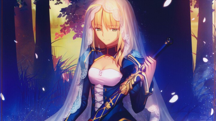 【FATE】全程高能踩点！观看一分钟，兴奋一整天