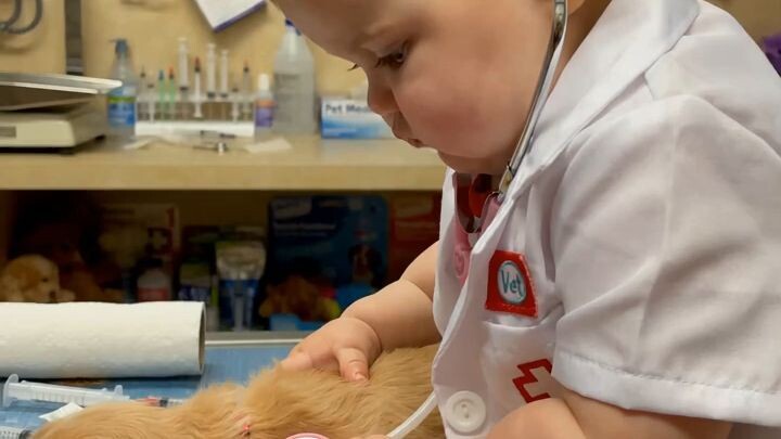 Funny Baby Vet Runs the Clinic! Baby Boss Animal Comedy 🩺😂