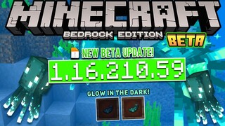 UPDATE! MCPE BETA V1.16.210.59 | XBOX LIVE - GLOW SQUID! 🐙 & ITEM GLOW INK✨