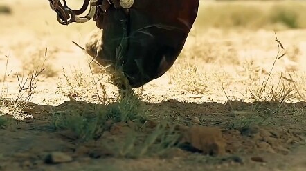 本以为有幸运之神眷顾多次化险为夷然而却被惨痛打脸