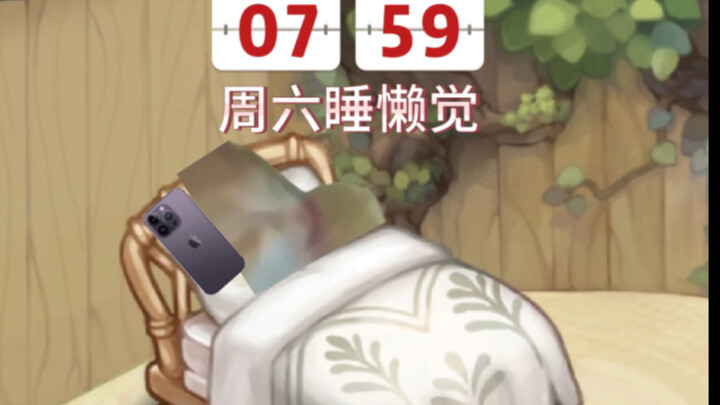 打工猫咪的充实周末