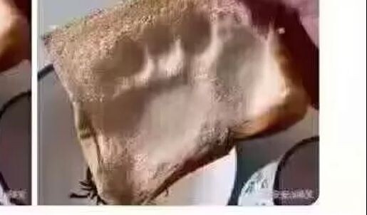 Kalau roti yang diinjak istrimu tidak kamu makan, tolong masukkan ke mulutku - Koleksi gambar gantun