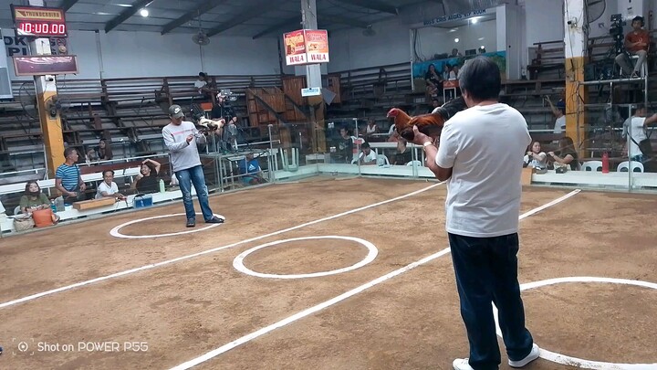 sta.ana pampanga 2 cock derby 3/26/24 1stfight win