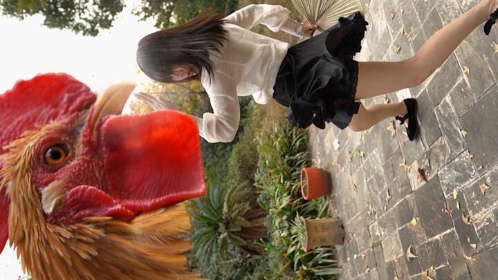 Gà nướng vô địch tập 3, bạn trẻ hãy tự lo liệu cho bản thân nhé.