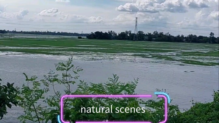 natural beauty