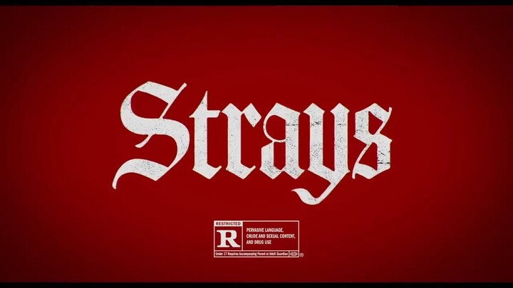 Strays 2023 || Full Movie ||  WATCH HERE FOR FREE