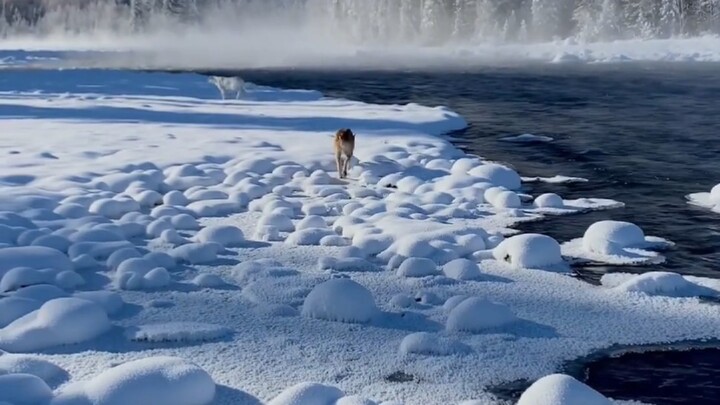 Jangan sekali-kali datang ke Xinjiang di musim dingin!