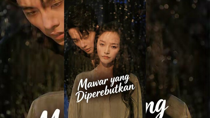 Mawar yang Diperebutkan Full Bahasa Indonesia (MELO)