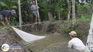Quăng Chài Bắt Cá - Món Ăn Dân Dã | Hội Ngộ Miền Tây - Tập 236