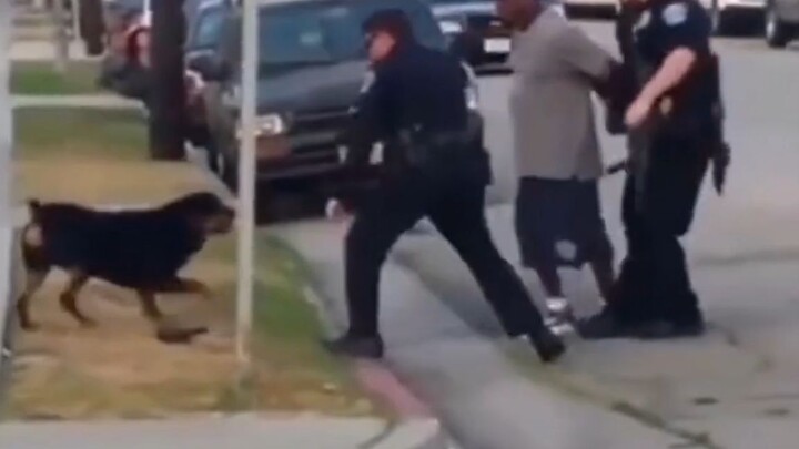 US Police Promotional Video