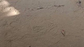 pinalahi nagka tuwaan nilaban 2xwinner 😅