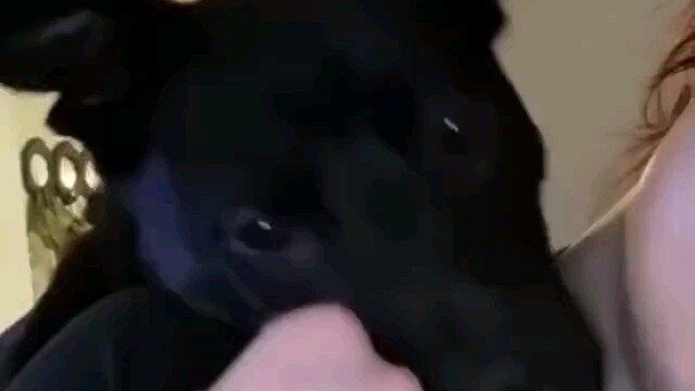 Help! This is just too cute! Aaaaaaa!