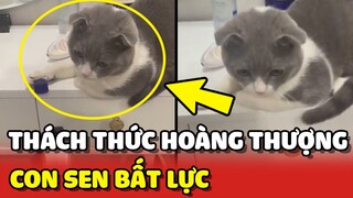 Cô gái nhận cái kết ĐẮNG khi dám THÁCH THỨC Hoàng Thượng 😂 | Yêu Lu