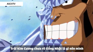 Top 7 Trái Paramecia Phòng Thủ Cực Mạnh Trong One Piece #2-6