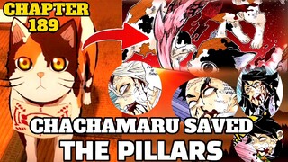 CHACHAMARU SAVED THE PILLARS😮‼️Demon Slayer Season 5 SUNRISE COUNTDOWN ARC Chapter 189