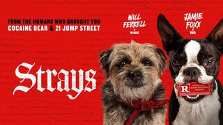 Strays _ Watch Full Movie- Link in description