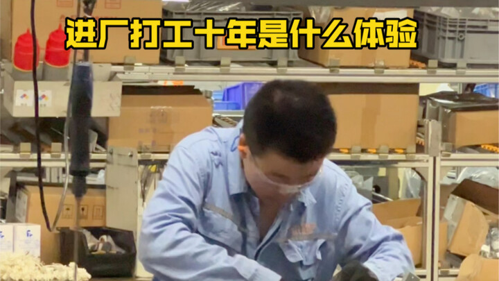 在厂里工作十年是什么体验