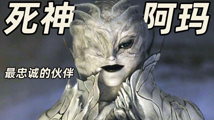 死神阿玛，最忠诚的伙伴