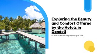 Exploring the Beauty and Comfort Offered by the Hotels in Dandeli