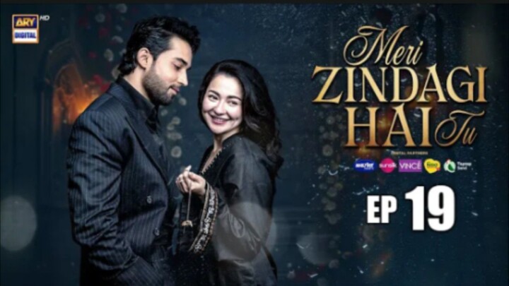 Meri Zindegi Hai Tu episode 19