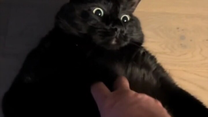 Foreign Black Handsome Guy