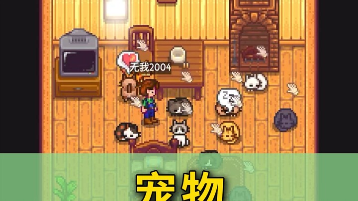 【สตาร์ดิวแคมป์ 1.6】ความรู้พื้นฐานเกี่ยวกับสัตว์เลี้ยง