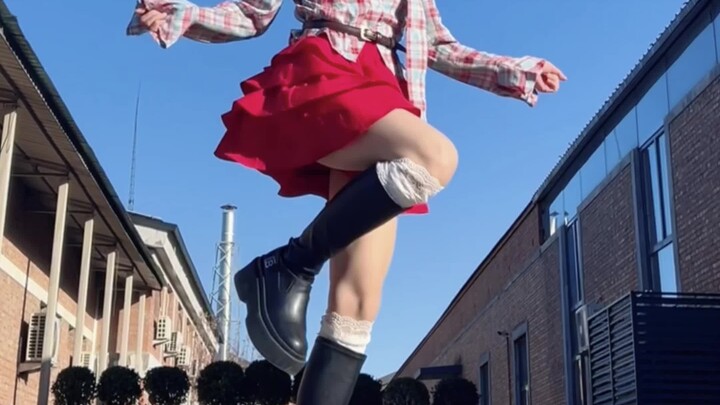 ดอกไม้บานในฤดูหนาว