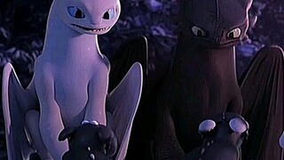 How to train your dragon