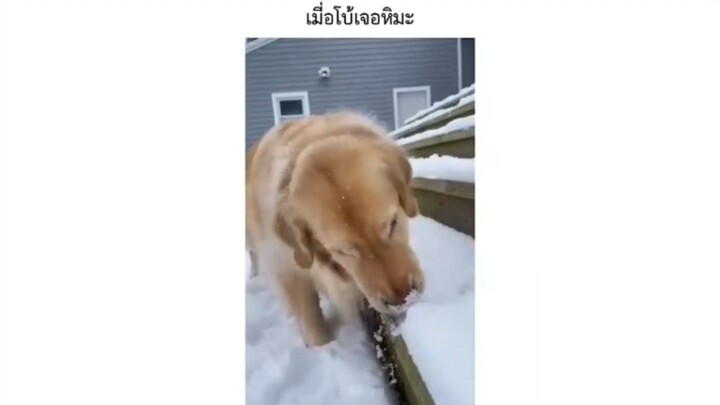 เมื่อโบ้เจอหิมะ