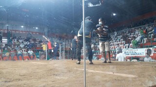 tinola lines lang
