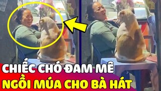 Chiếc chó 'NGỒI MÚA' phụ họa cho bà hát khiến ai nấy cưng xỉu 😅 Gâu Đần