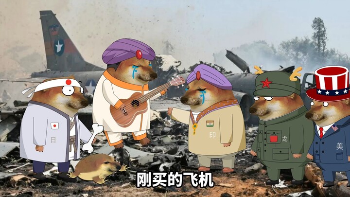 印度之，他们的飞机被打了