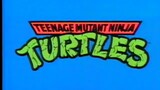 Teenage Mutant Ninja Turtles (1987) - S03E38 - The Great Boldini